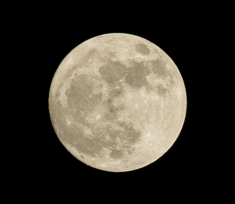 Lunar Theme Reception